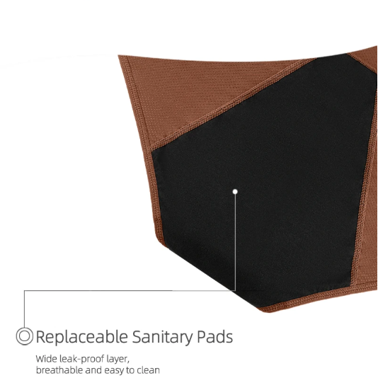 (Set of 10) Leakproof Underwear