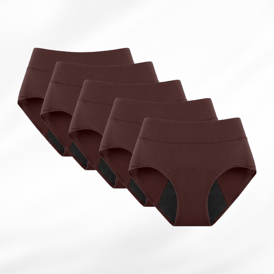(Set of 5) Leakproof Underwear