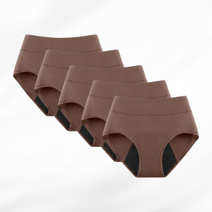 (Set of 5) Leakproof Underwear
